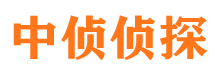 共青城侦探公司